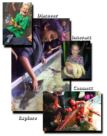 Kids interacting with animals.