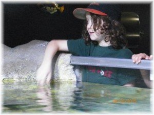Sleep with the Sharks – Amazing Customer Review