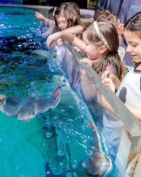 Top Ten Southern Aquarium