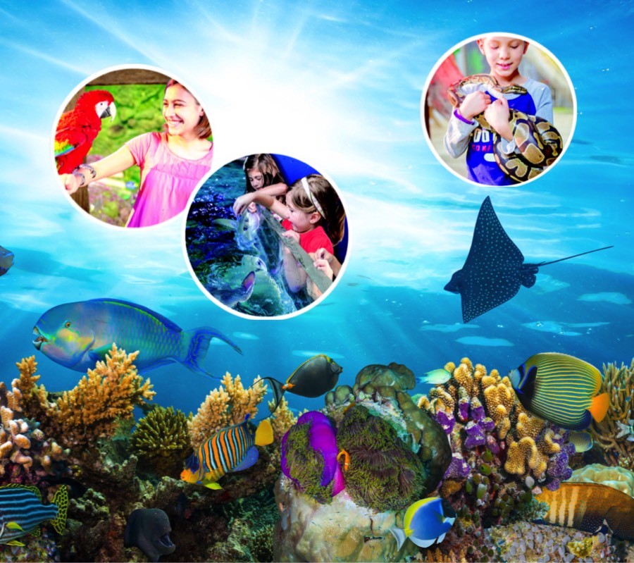 Austin aquarium coupon code
