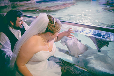 Austin aquarium coupon code