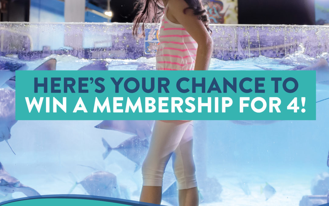 Austin Aquarium Is Giving Away Free Memberships Everyday Through Jan. 15